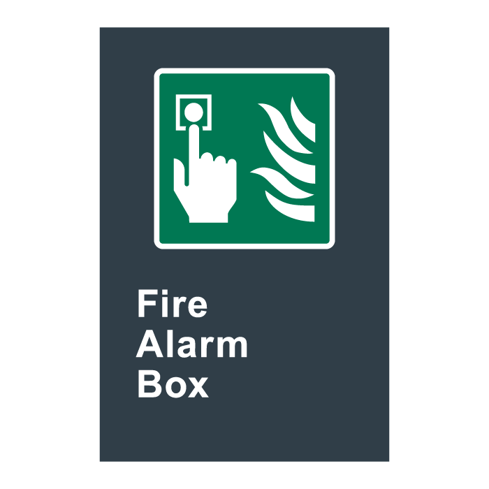 E10 CSA Fire Alarm Box