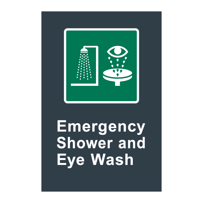 E16 CSA Emergency Shower and Eye Wash