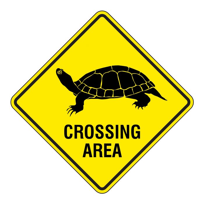 CR1 Turtle Crossing, 60x60cm