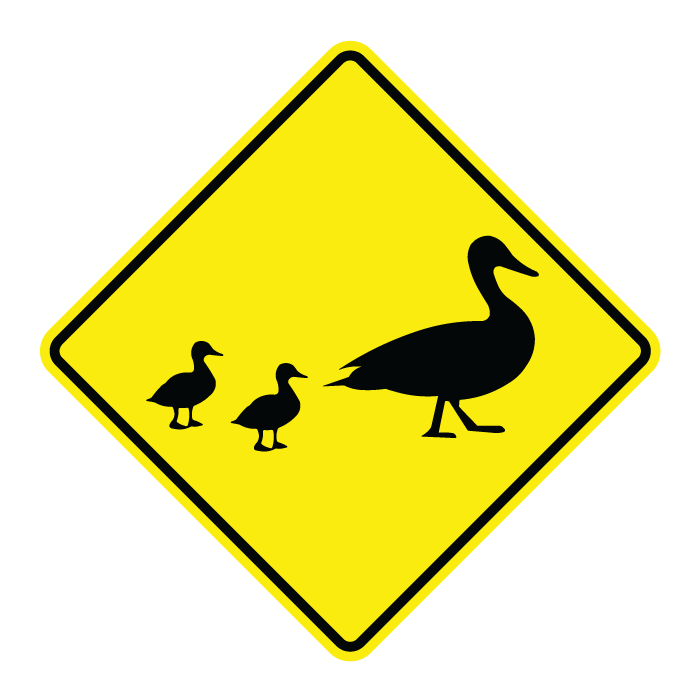 CR4 Duck Crossing, 60x60cm