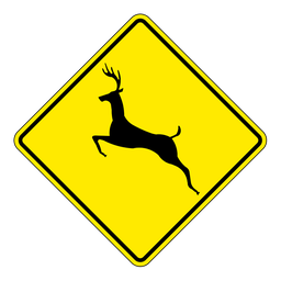 WC11, Deer Crossing, 60x60cm