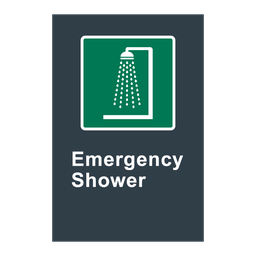 E15 CSA Emergency Shower