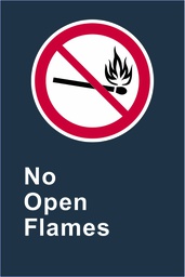 P12 CSA No Open Flames